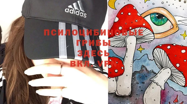 COCAINE Вяземский