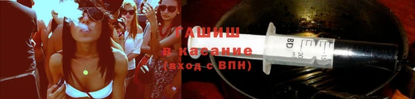 мдпв Вязьма