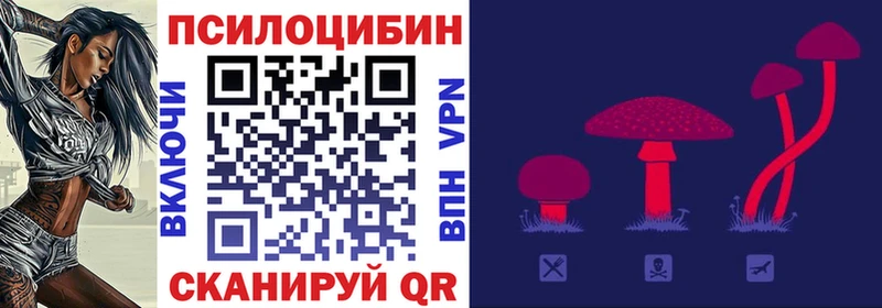 где можно купить   shop Telegram  Галлюциногенные грибы Psilocybine cubensis  Дмитров 